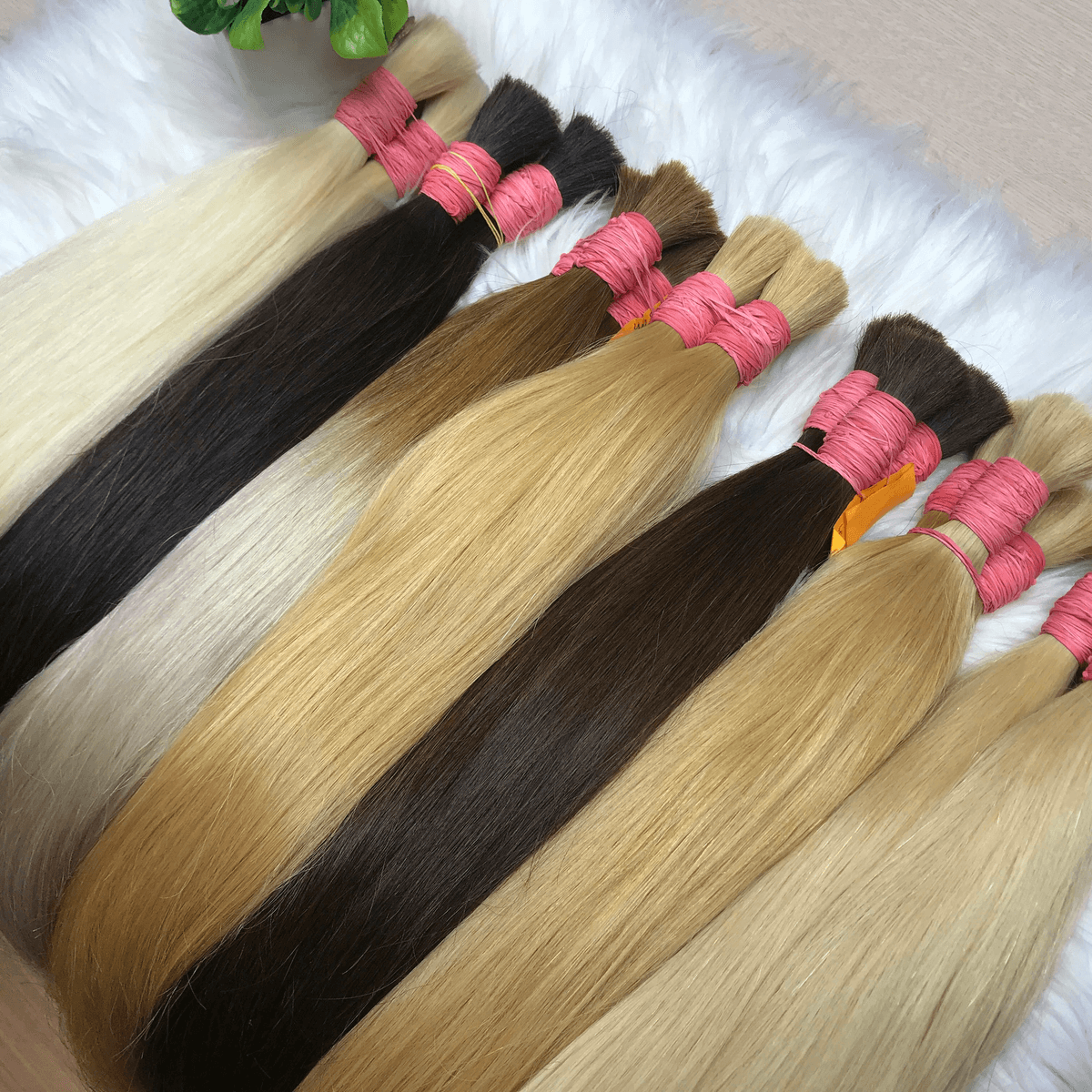 Stylish display of wigs from wholesale hair vendors Stylish display of wigs from wholesale hair vendors