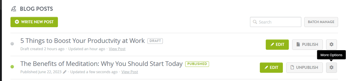Strikingly Blog Posts Manager showing draft and published articles with editing controls Strikingly Blog Posts Manager showing draft and published articles with editing controls
