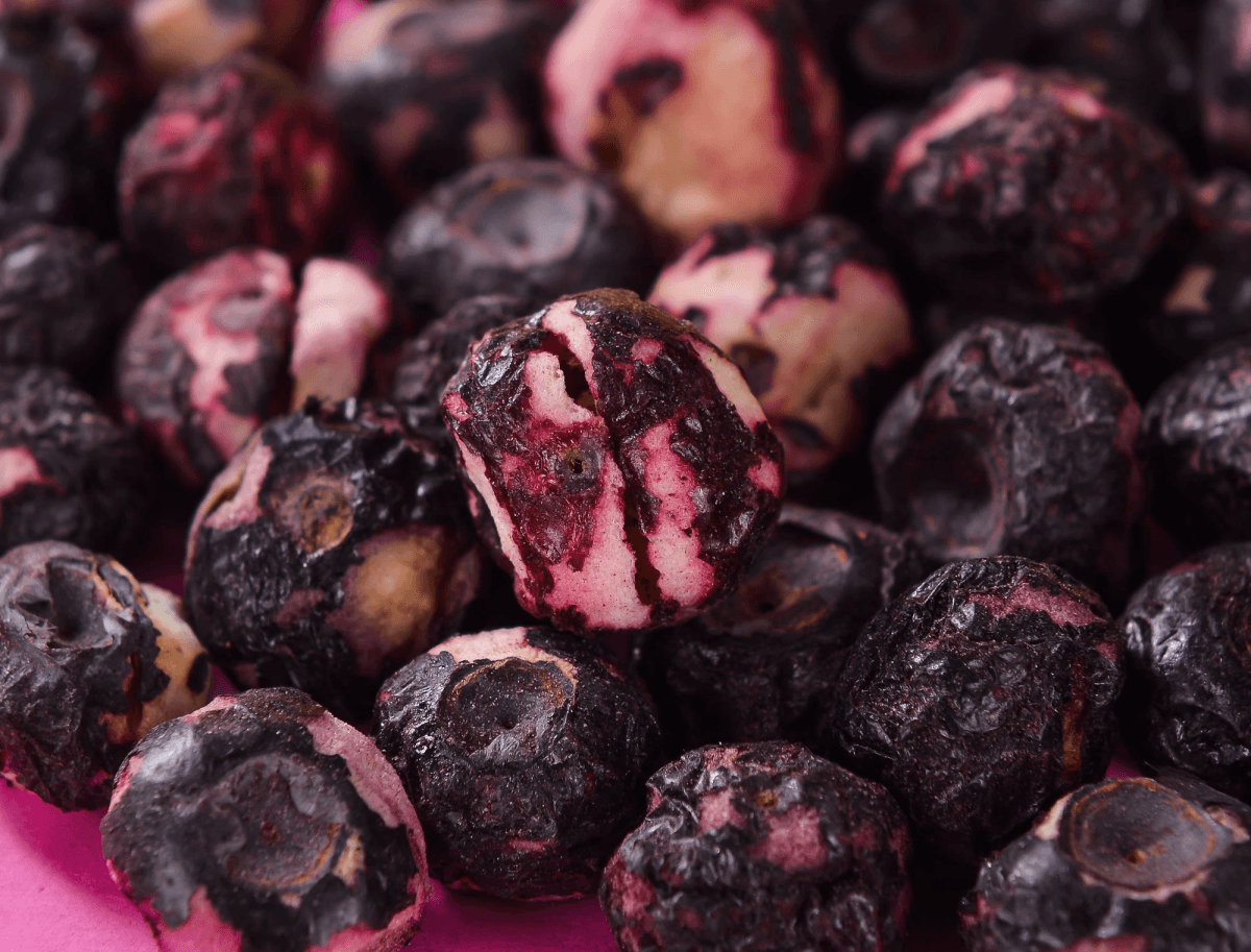 Store bulk freeze dried blueberries bulk properly for maximum freshness. Store bulk freeze dried blueberries bulk properly for maximum freshness.