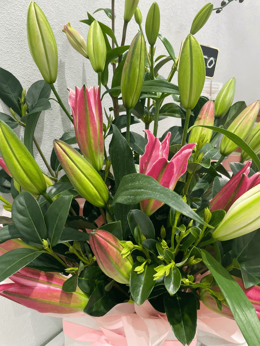 Stunning corporate flowers melbourne enhancing office ambiance. Stunning corporate flowers melbourne enhancing office ambiance.