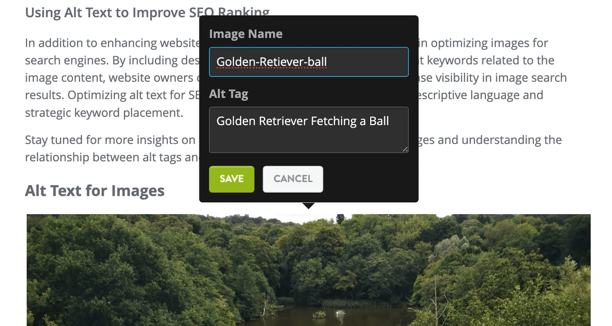 website optimization roadmap focusing on title tags and alt text website optimization roadmap focusing on title tags and alt text