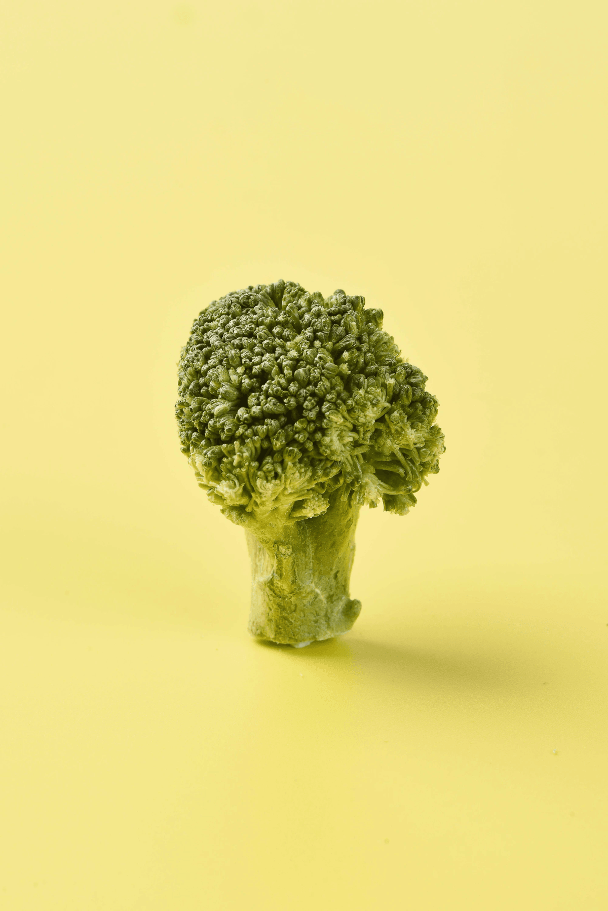 freshly stocked bags of freeze dried broccoli at a grocery store freshly stocked bags of freeze dried broccoli at a grocery store