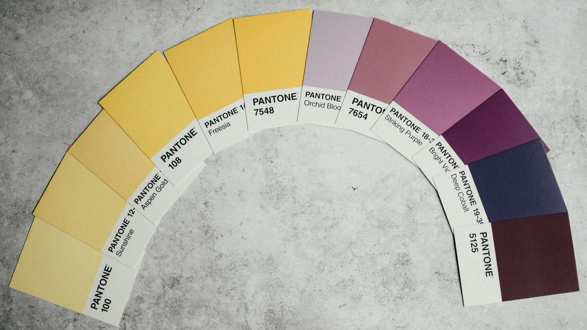 Website color palette planning using effective color schemes Website color palette planning using effective color schemes