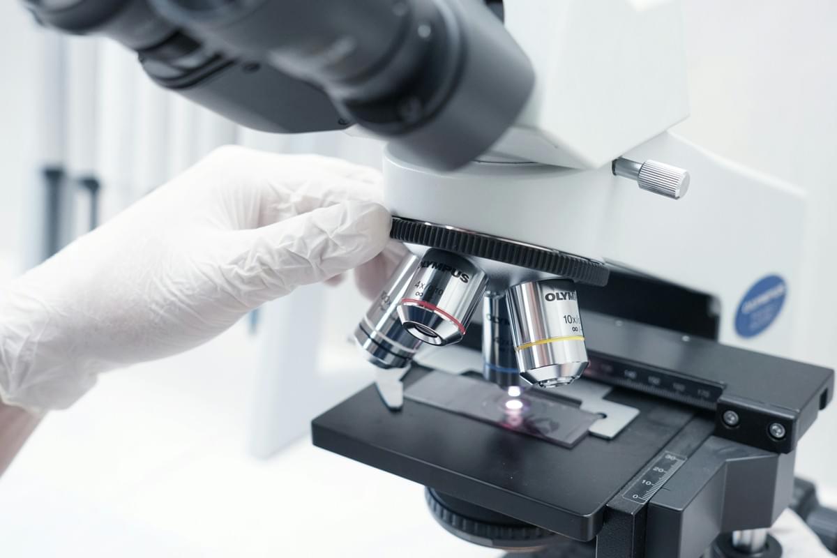 LFGB Test certification on general plastic products LFGB Test certification on general plastic products