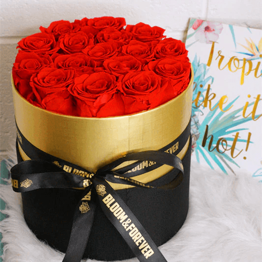 Beautiful arrangement of preserved rose boxes showcasing vibrant colors. Beautiful arrangement of preserved rose boxes showcasing vibrant colors.