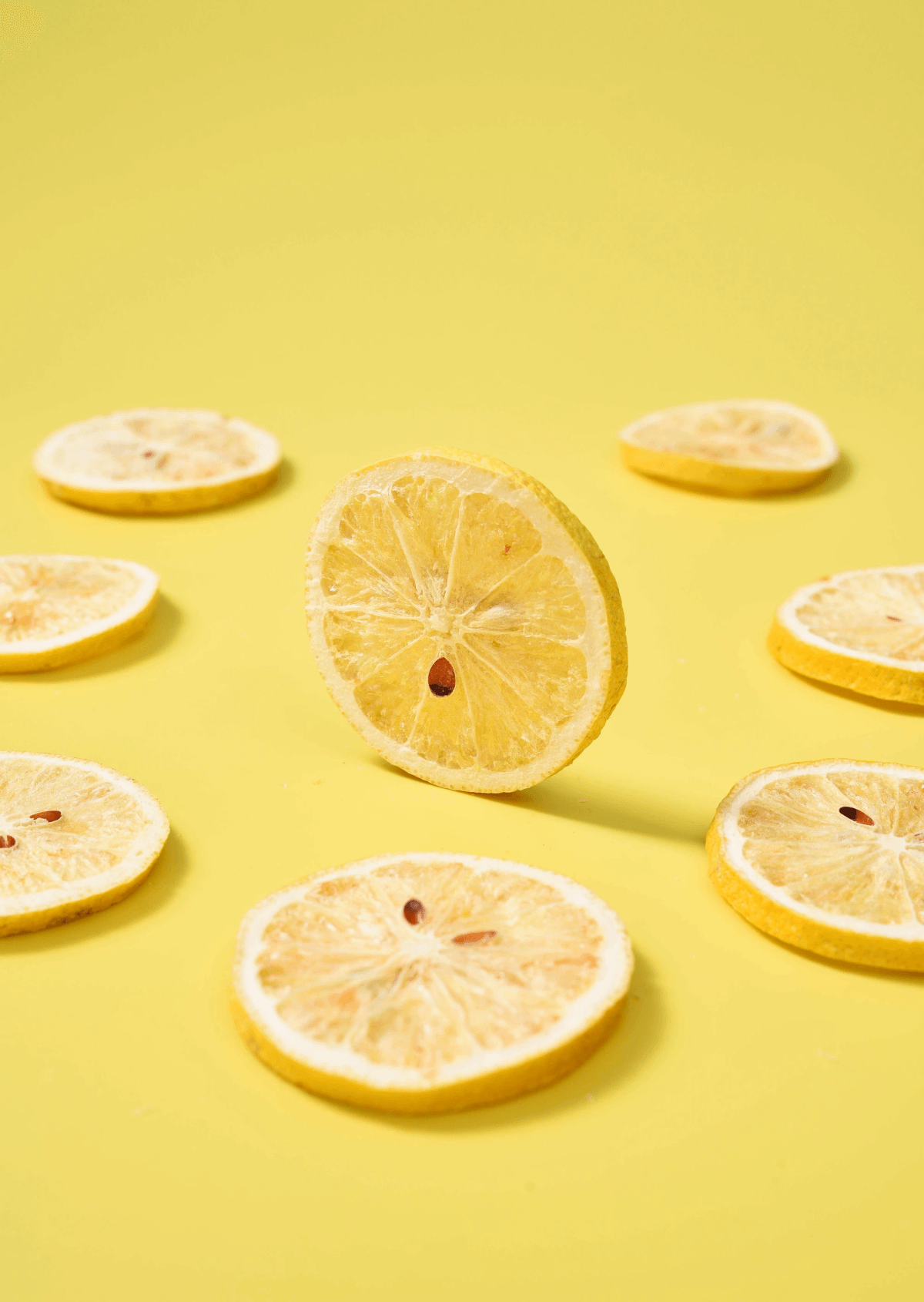 freshly packaged freeze dried lemon slices ready for snacking freshly packaged freeze dried lemon slices ready for snacking