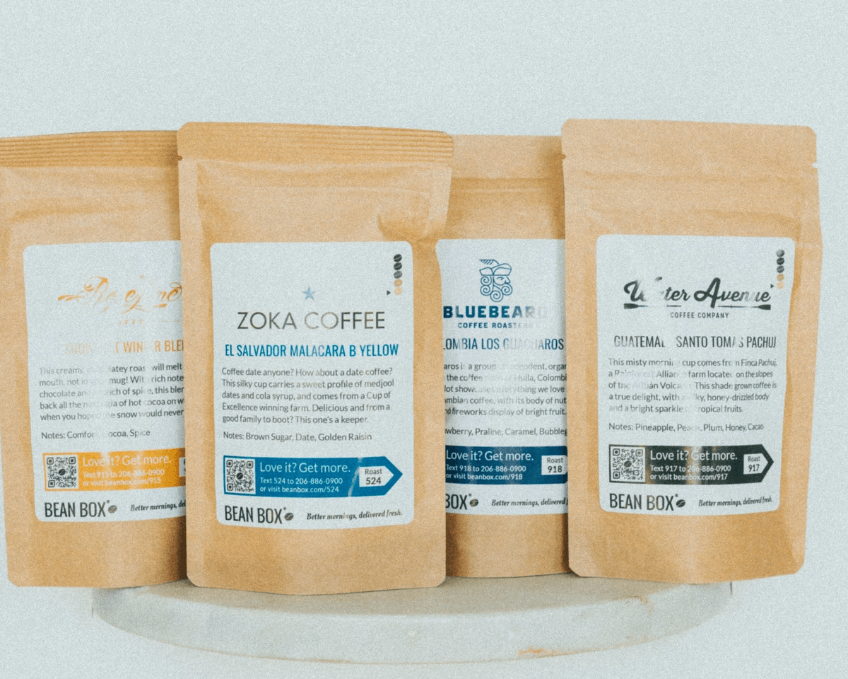 best glue for pet plastic options displayed with various samples best glue for pet plastic options displayed with various samples