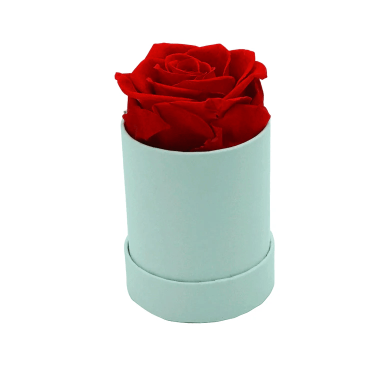Stunning eternal rose gift showcasing love and care. Stunning eternal rose gift showcasing love and care.