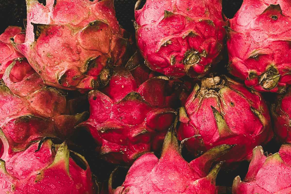 Colorful display of freeze dried dragonfruit pieces. Colorful display of freeze dried dragonfruit pieces.