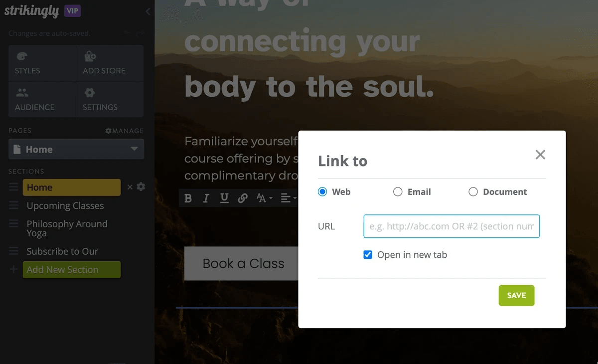 Strikingly anchor link editor used to connect visitors to a relevant page section Strikingly anchor link editor used to connect visitors to a relevant page section