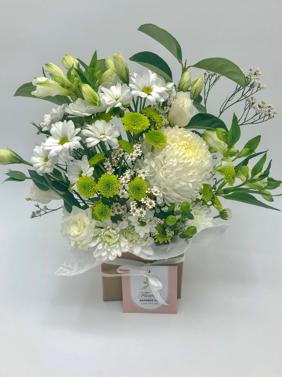 meaning of white roses represented through fresh-cut blooms meaning of white roses represented through fresh-cut blooms