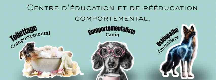 Salon de toilettage à froyennes Salon de toilettage à froyennes