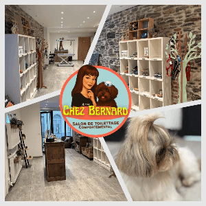 Cliquez ici pour savoir ce qu'est le TCAP Cliquez ici pour savoir ce qu'est le TCAP