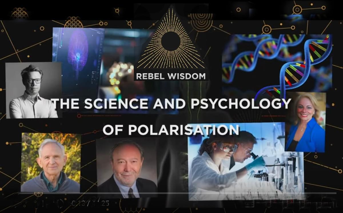 Rebel Wisdom, Tomas Bjorkman Rebel Wisdom, Tomas Bjorkman