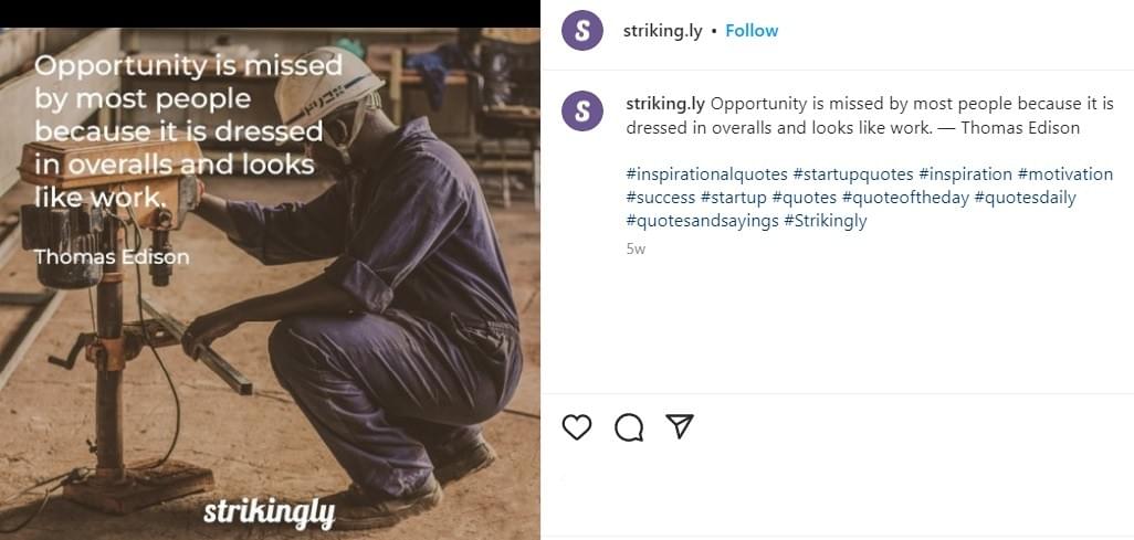 instagram de Strikingly instagram de Strikingly