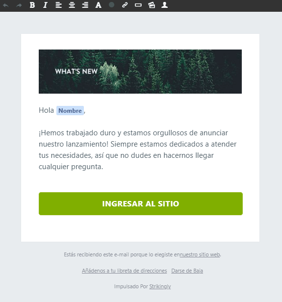 Editar un boletín de noticias Editar un boletín de noticias