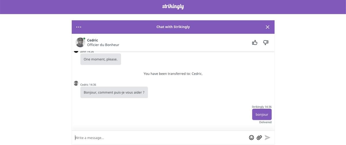 Live chat de Strikingly Live chat de Strikingly