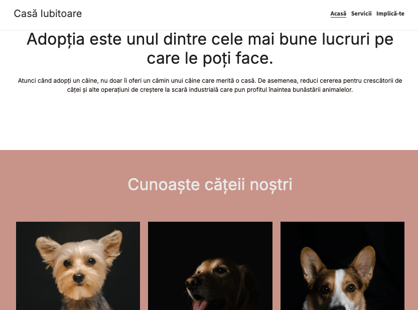 Șablon de site nonprofit Loving Home de la Strikingly Șablon de site nonprofit Loving Home de la Strikingly