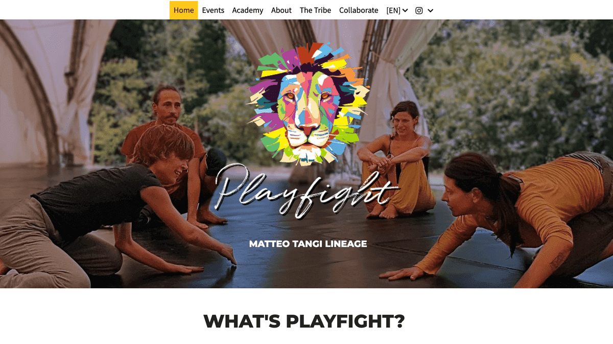 Sitio web de Playfight Sitio web de Playfight