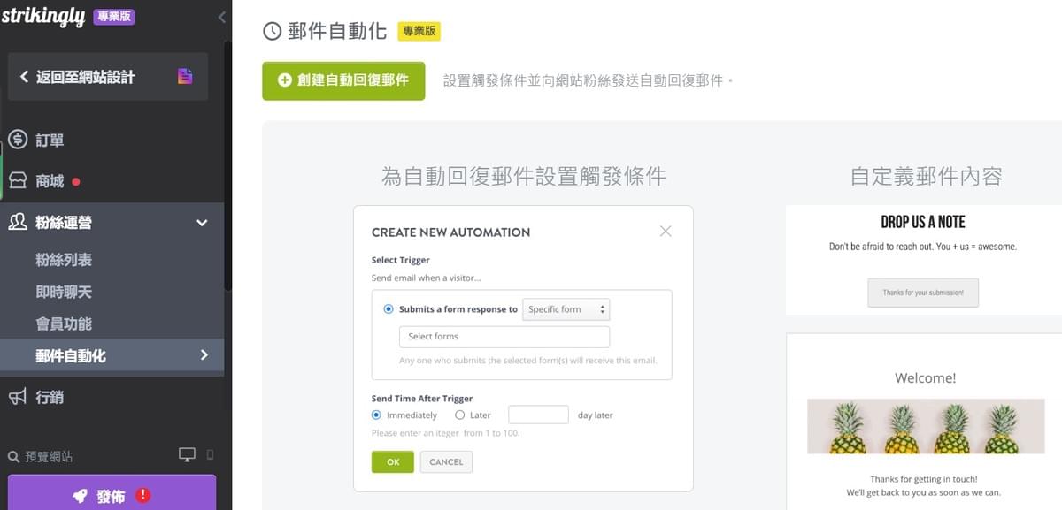 Strikingly電子郵件行銷功能 Strikingly電子郵件行銷功能