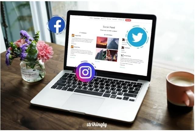 plantilla de Strikingly Social Feeds Section plantilla de Strikingly Social Feeds Section