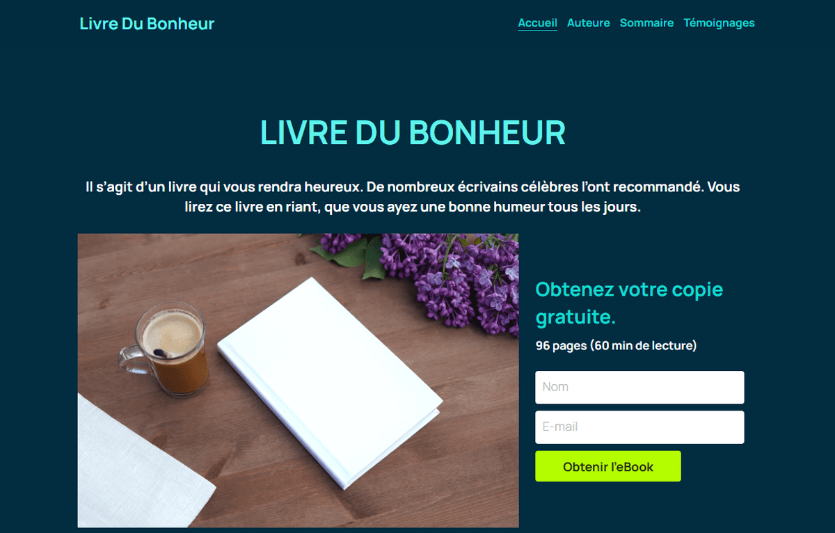 Qu'est-ce que les biens numériques ? Qu'est-ce que les biens numériques ?