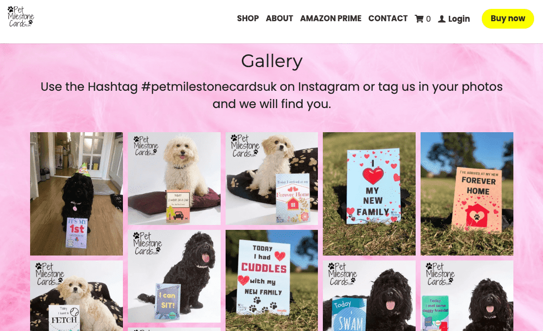 Campaña de Instagram de tarjetas de hitos para mascotas Campaña de Instagram de tarjetas de hitos para mascotas