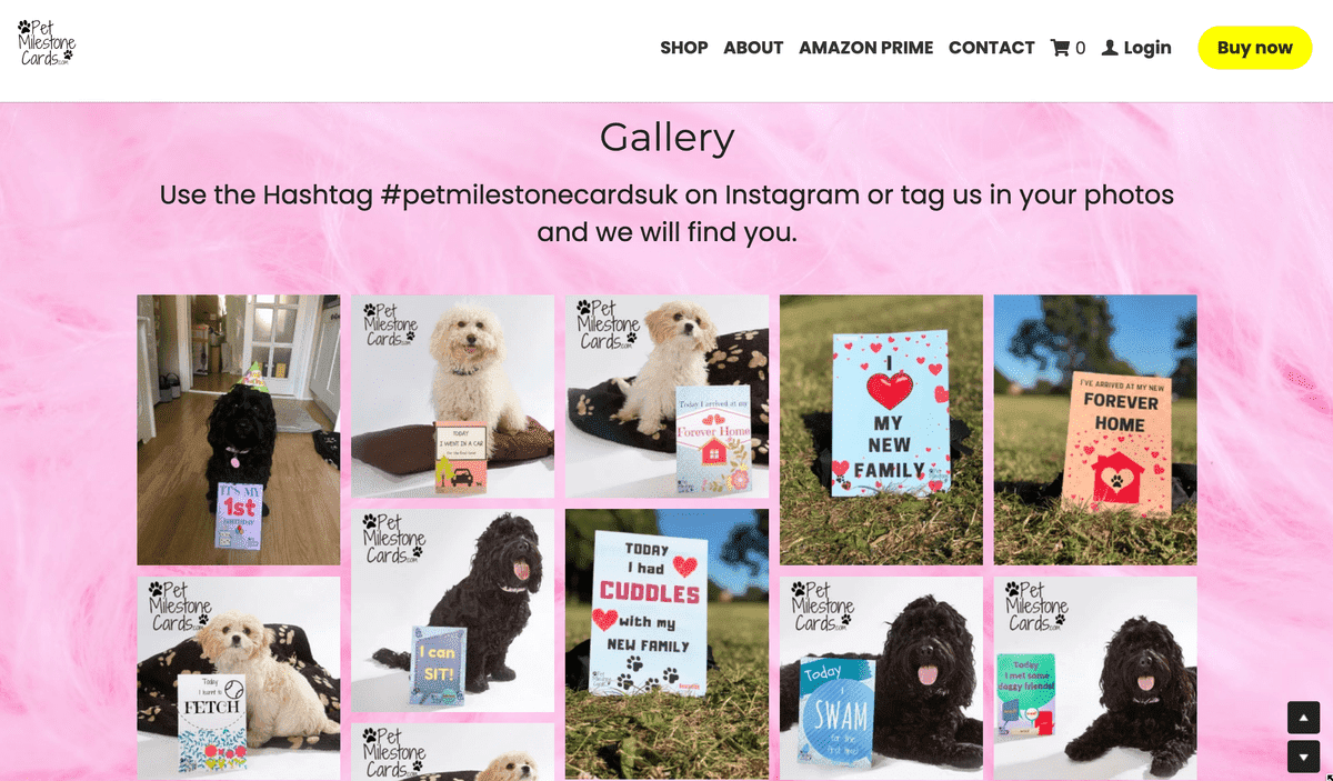 Campaña de Instagram de tarjetas de hitos para mascotas Campaña de Instagram de tarjetas de hitos para mascotas