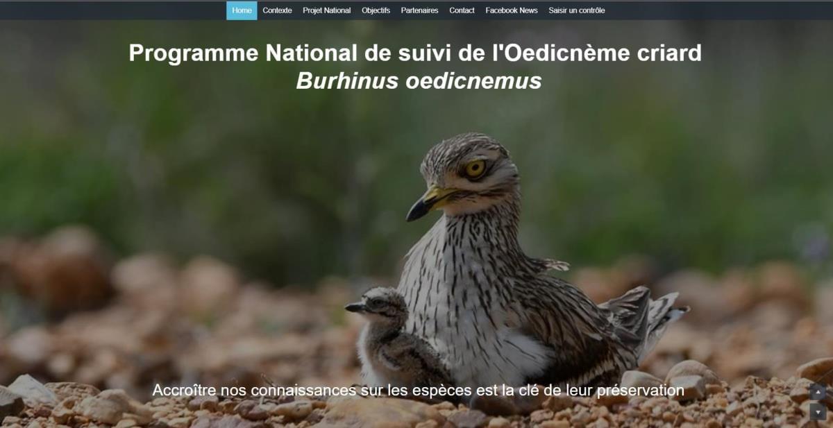 Le site Projet National Œdicneme Criard sur Strikingly Le site Projet National Œdicneme Criard sur Strikingly