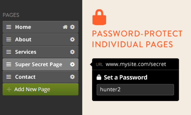 Strikingly Password Protection Page