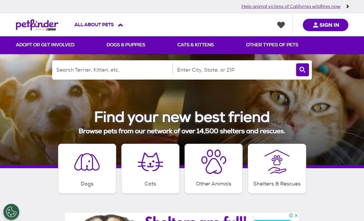 Image taken from Petfinder Image taken from Petfinder