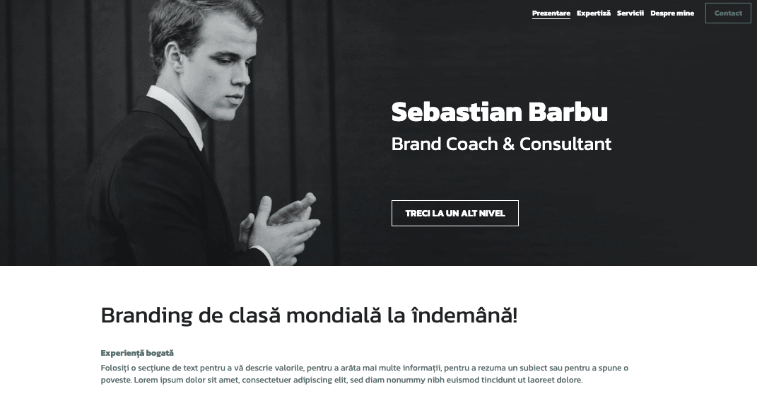 Șablon Eric Lambert pentru marketing cu influențe Șablon Eric Lambert pentru marketing cu influențe