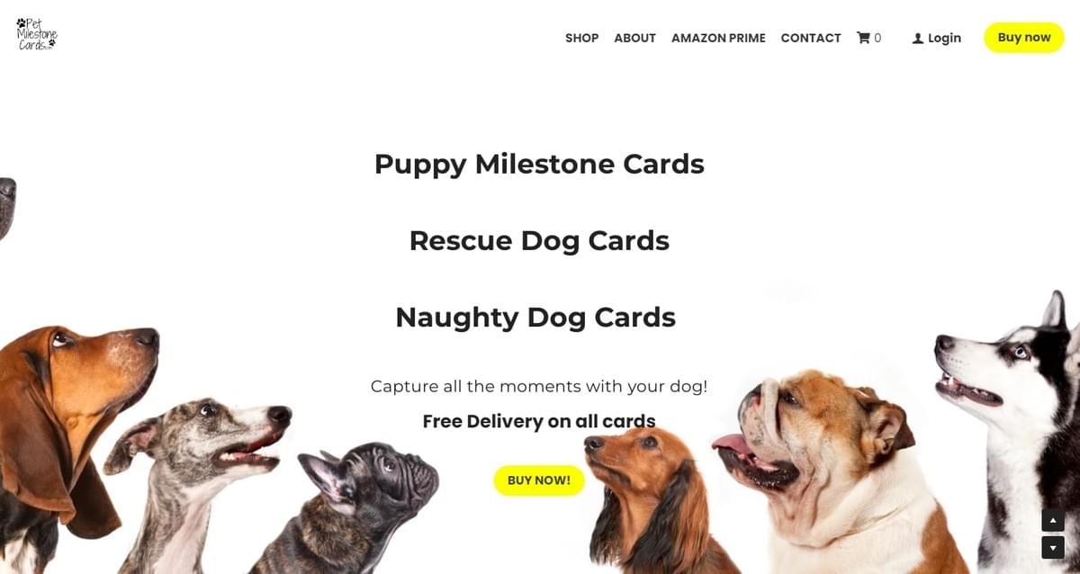 高品質の画像を使用する 高品質の画像を使用する