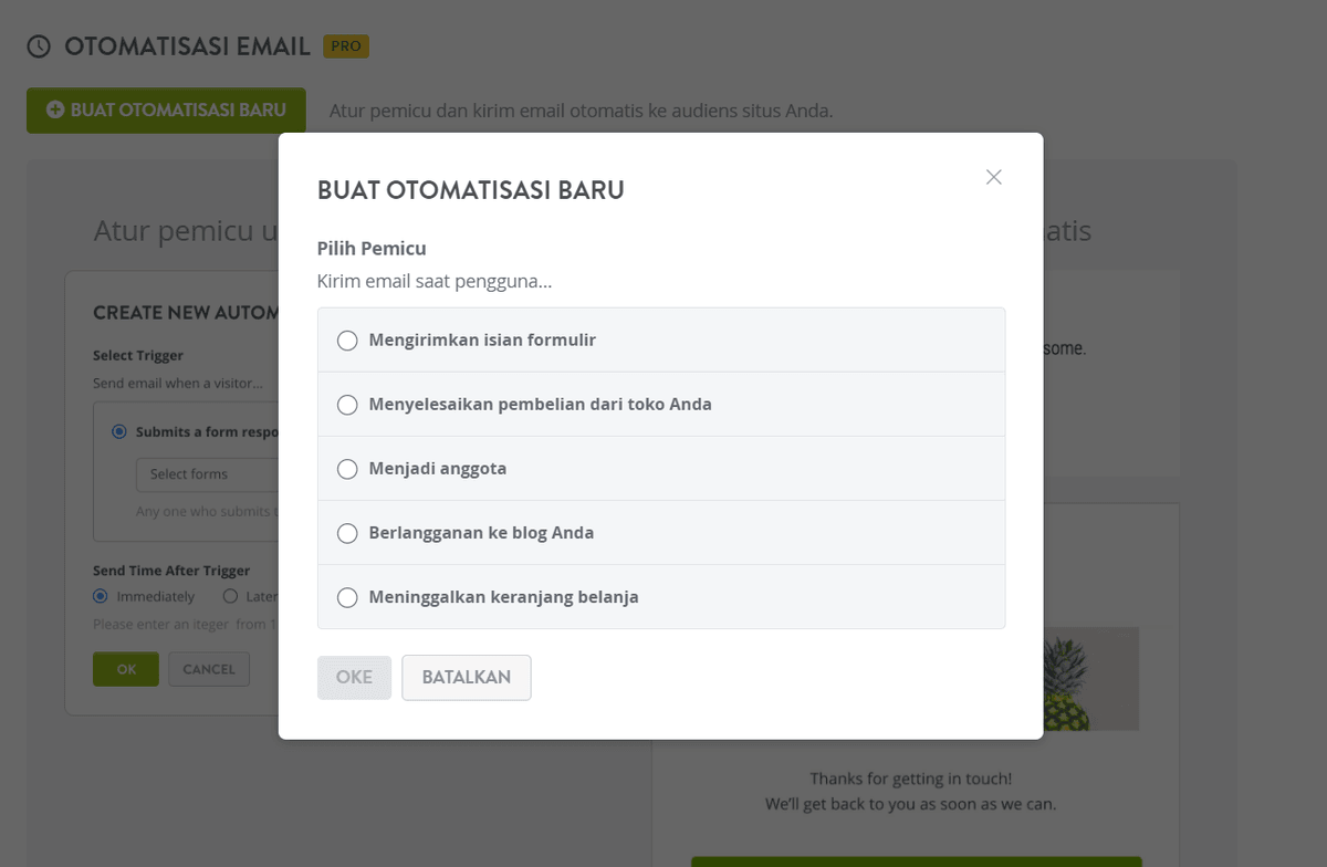 Pengaturan Otomatisasi Email Keranjang yang Terbengkalai Pengaturan Otomatisasi Email Keranjang yang Terbengkalai