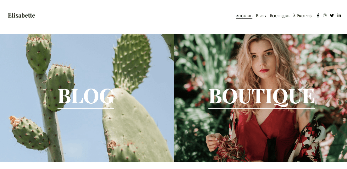 Modèle succulent : modèle de blog de vente au détail pour réussir Modèle succulent : modèle de blog de vente au détail pour réussir