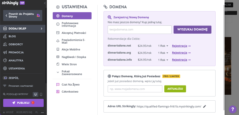 Opcje niestandardowych nazw domen do zwiększenia przepływów finansowych Opcje niestandardowych nazw domen do zwiększenia przepływów finansowych