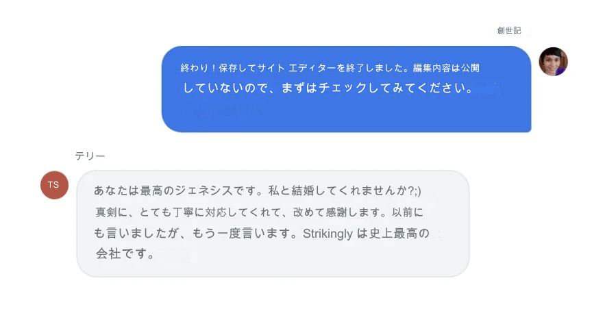 ストライキングのチャットを通じた顧客サポート ストライキングのチャットを通じた顧客サポート