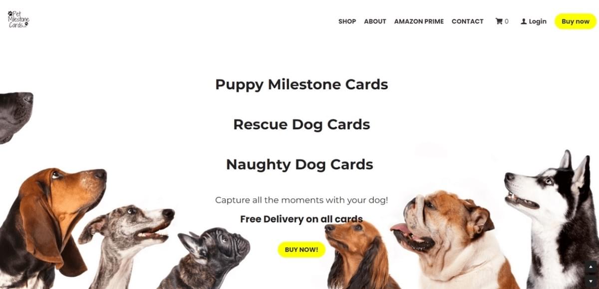 Den Code knacken: Insider-Tipps für den Erfolg im Coupon-Marketing Den Code knacken: Insider-Tipps für den Erfolg im Coupon-Marketing