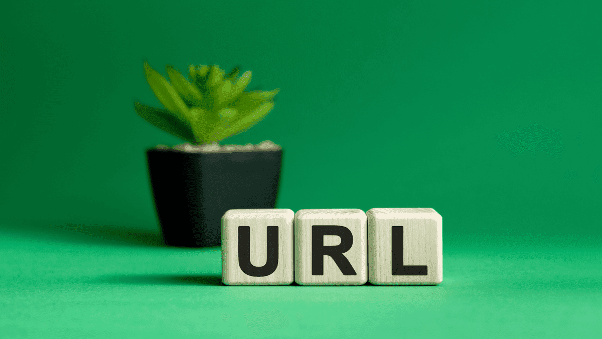 Adresa URL scrisă folosind blocuri cu o plantă în ghiveci în fundal Adresa URL scrisă folosind blocuri cu o plantă în ghiveci în fundal