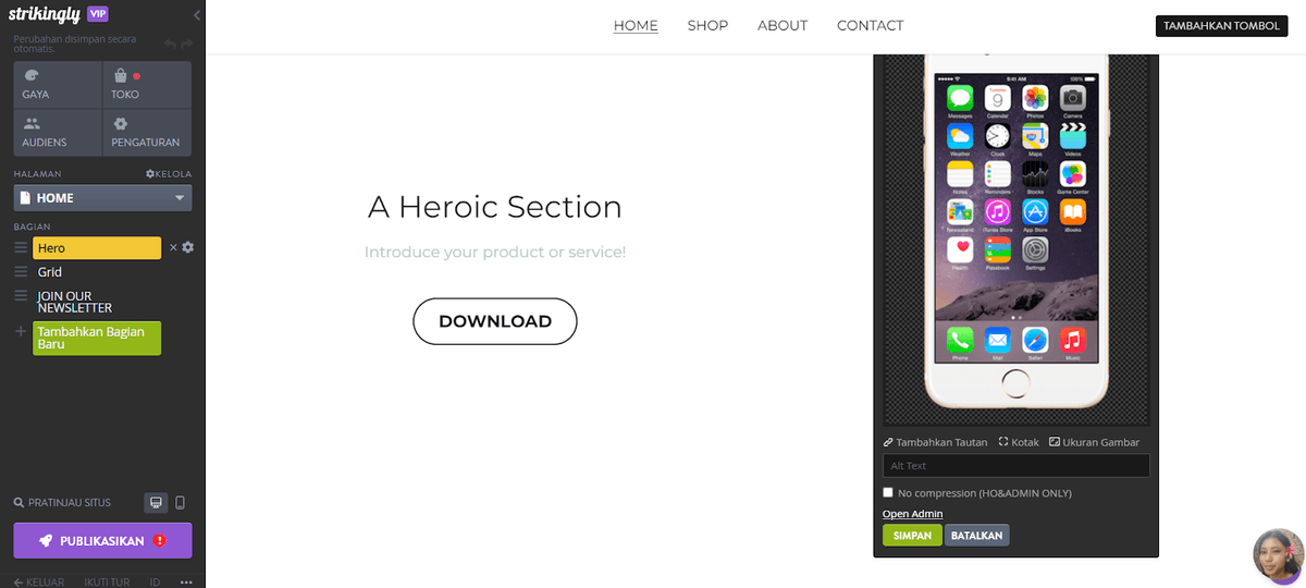 Audit Situs Web - Gambar & Teks Alt Audit Situs Web - Gambar & Teks Alt