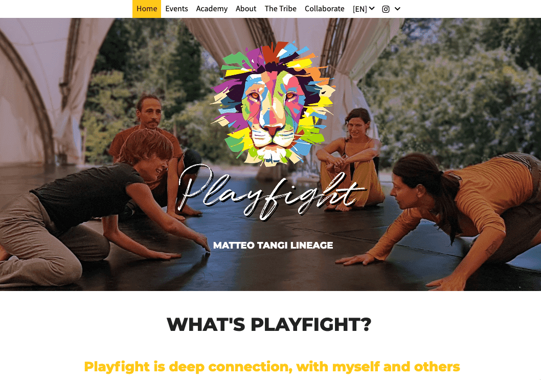 Nombre comercial creativo: Playfight Nombre comercial creativo: Playfight