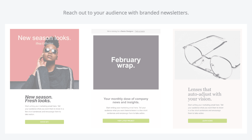 Strikingly Newsletter Feature