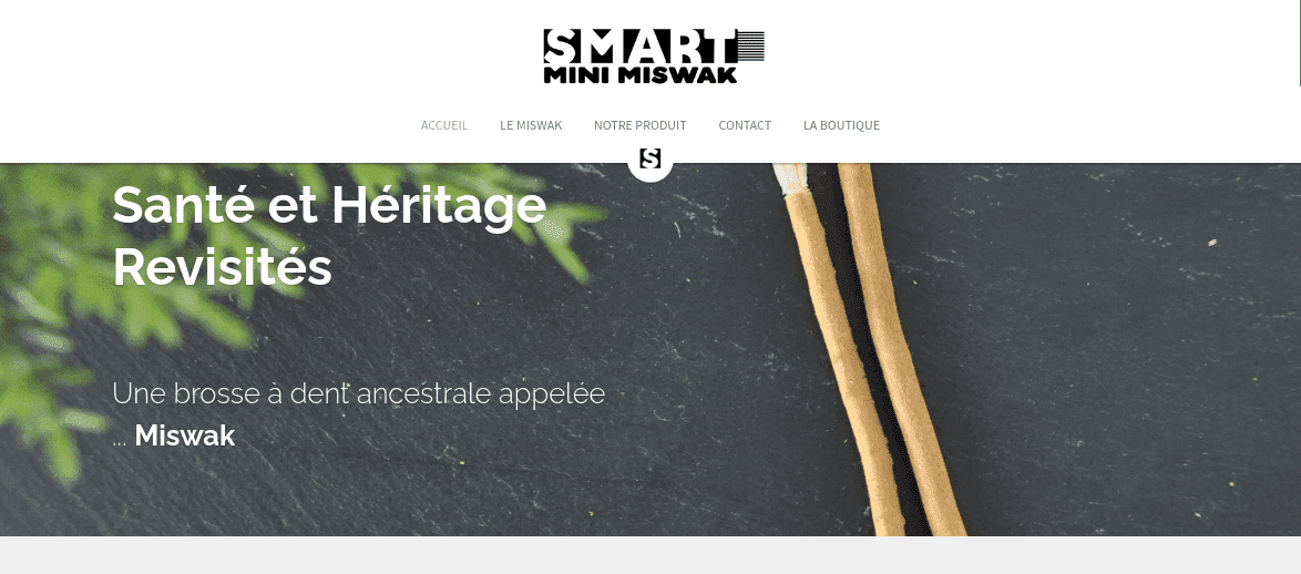 crie uma loja online com Strikingly como Smart Mini Meswak crie uma loja online com Strikingly como Smart Mini Meswak