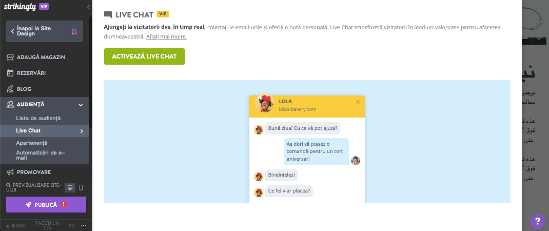 Fereastra de chat live Strikingly Fereastra de chat live Strikingly