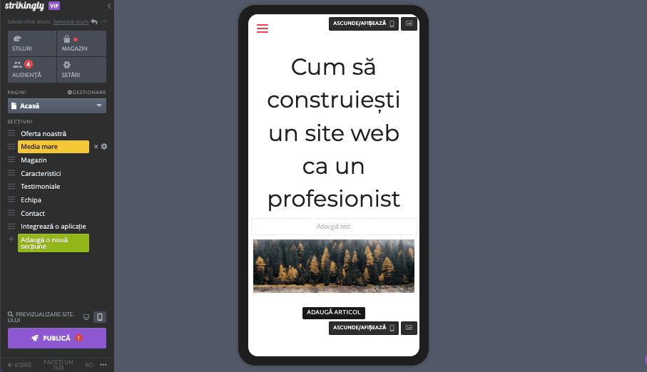 Rolul Strikingly în promovarea pe rețelele sociale - Responsivitate mobilă Rolul Strikingly în promovarea pe rețelele sociale - Responsivitate mobilă