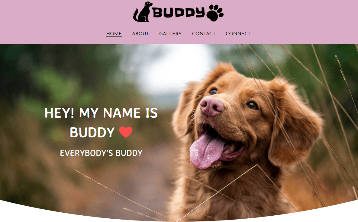 Buddy Template Buddy Template
