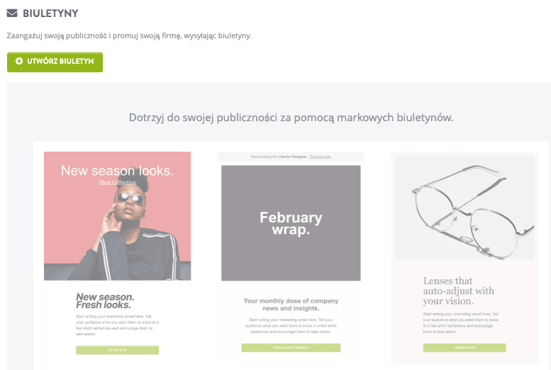 Strikingly - Funkcja Newslettera Strikingly - Funkcja Newslettera