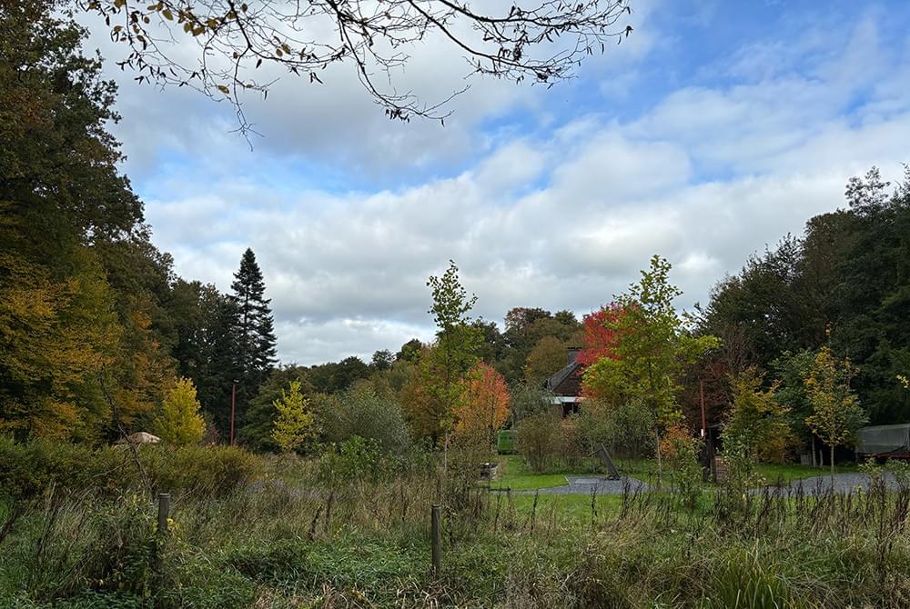 Section image