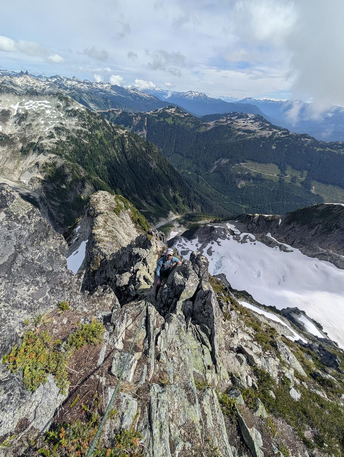 Section image