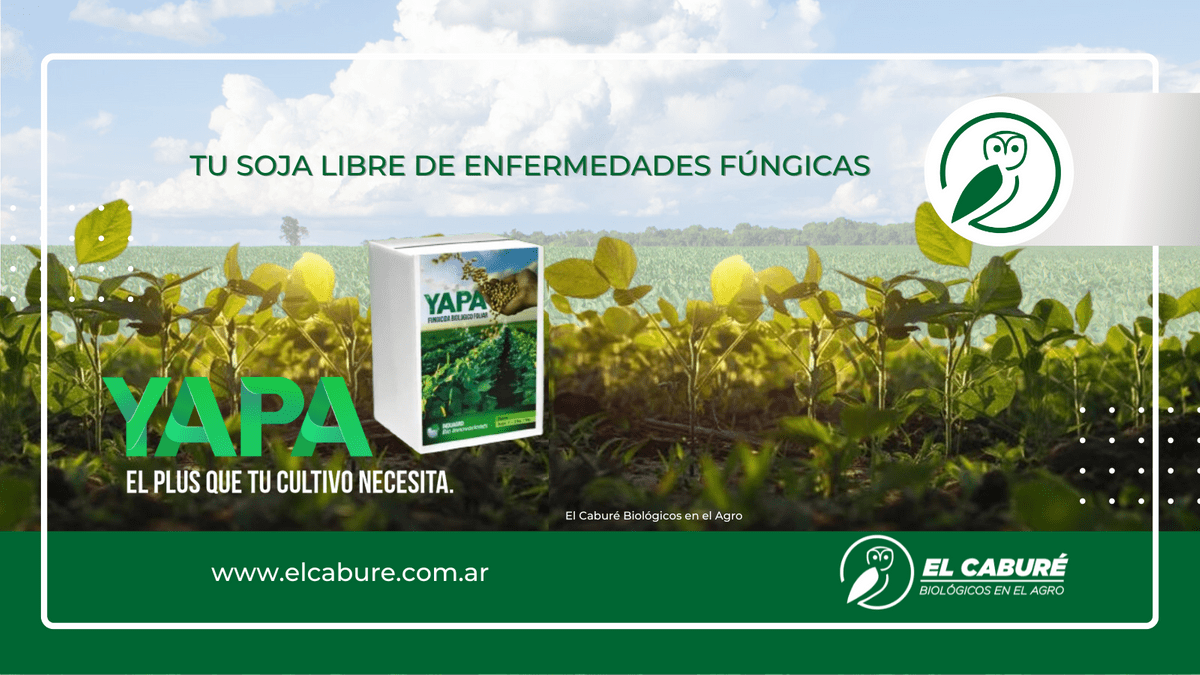 Yapa el cabure biologicos en el agro fungicida foliar Yapa el cabure biologicos en el agro fungicida foliar